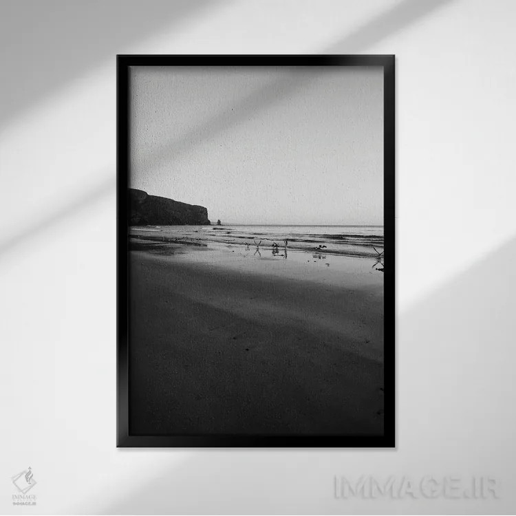 تابلو دکوراتیو پرندگان صبحگاهی اثر سباستین هیلگتاگ - نمای قابدار مشکی