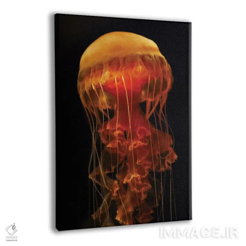 تابلو دکوراتیو Aquarium, Japan,عروس دریایی سیاه با شاخک های بازشده، آکو… اثر هیرویا مینکوچی - نمای پرسپکتیو محصول