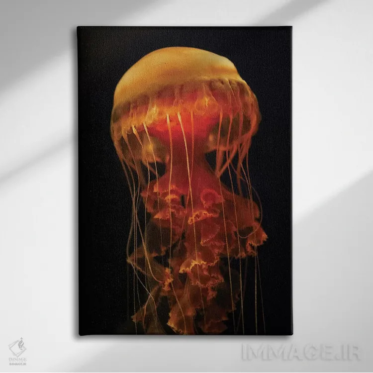 تابلو دکوراتیو Aquarium, Japan,عروس دریایی سیاه با شاخک های بازشده، آکو… اثر هیرویا مینکوچی - نمای روبهرو روی دیوار