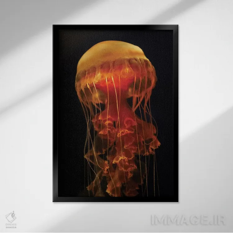 تابلو دکوراتیو Aquarium, Japan,عروس دریایی سیاه با شاخک های بازشده، آکو… اثر هیرویا مینکوچی - نمای قابدار مشکی