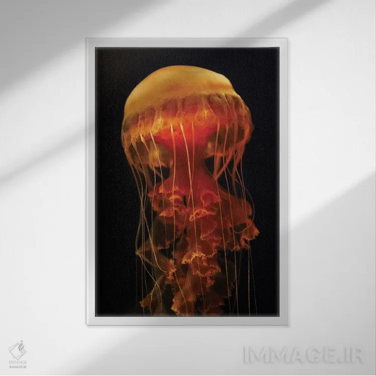 تابلو دکوراتیو Aquarium, Japan,عروس دریایی سیاه با شاخک های بازشده، آکو… اثر هیرویا مینکوچی - نمای قابدار سفید