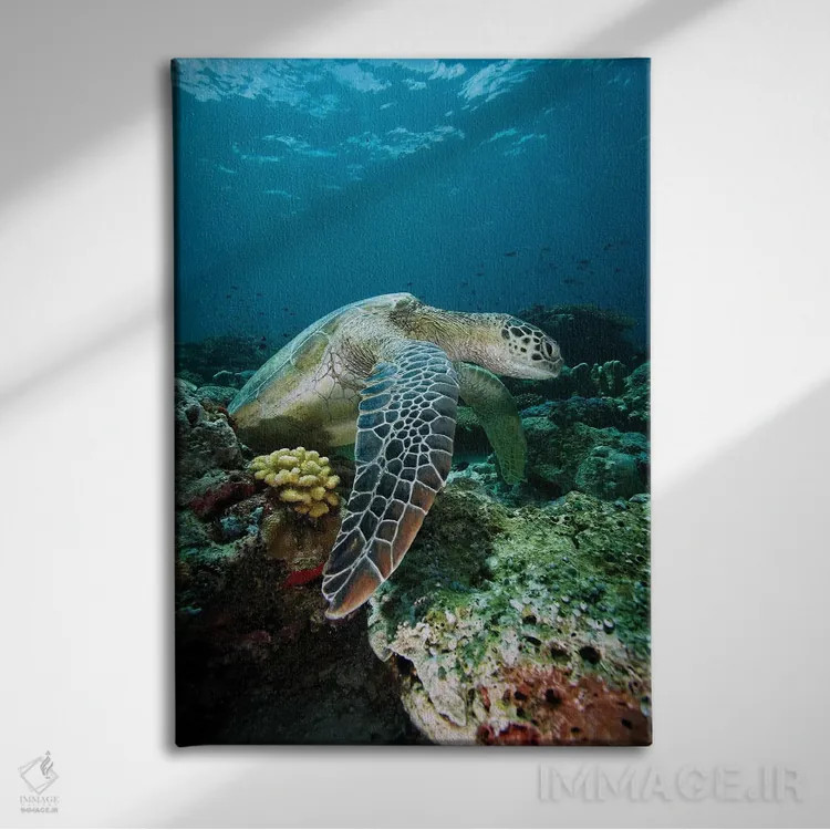 تابلو دکوراتیو Endangered, Sipadan Island, Celebes Sea, Borneo,لاک پشت… اثر هیرویا مینکوچی - نمای روبهرو روی دیوار
