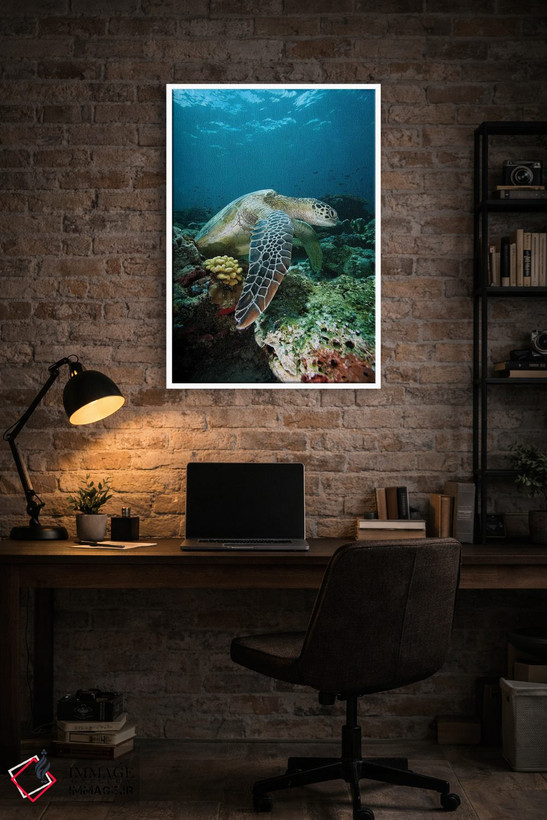 تابلو دکوراتیو Endangered, Sipadan Island, Celebes Sea, Borneo,لاک پشت… اثر هیرویا مینکوچی - D3W