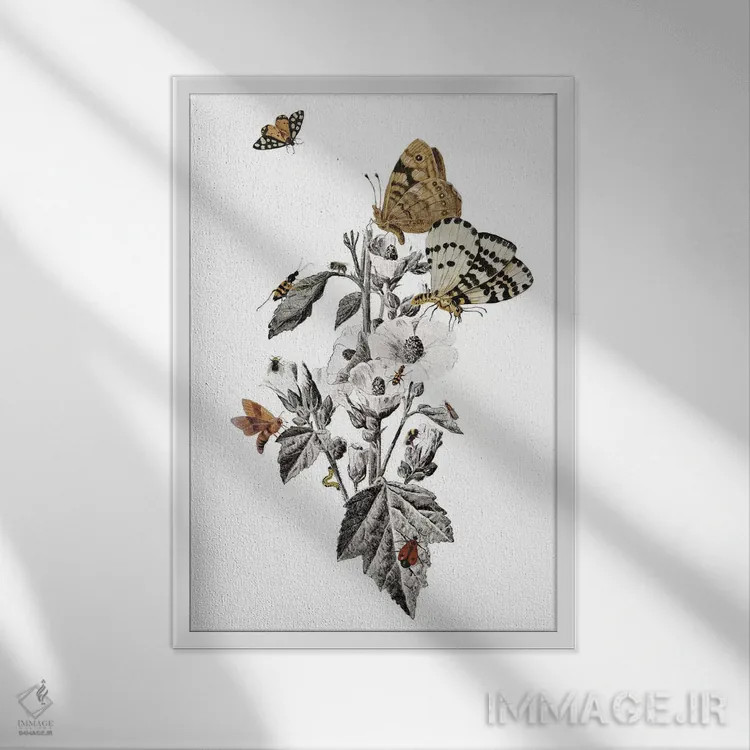 تابلو دکوراتیو طرح حشرات اثر هدر لندیس - نمای قابدار سفید