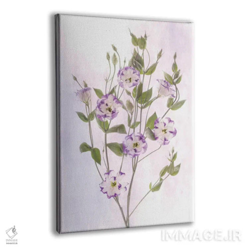 تابلو دکوراتیو Maryland, Bethesda, Purple and White, Digitally Altered,آمری… اثر هولیس لونی - نمای پرسپکتیو محصول