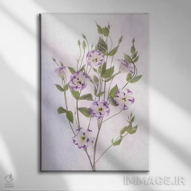 تابلو دکوراتیو Maryland, Bethesda, Purple and White, Digitally Altered,آمری… اثر هولیس لونی - نمای روبهرو روی دیوار