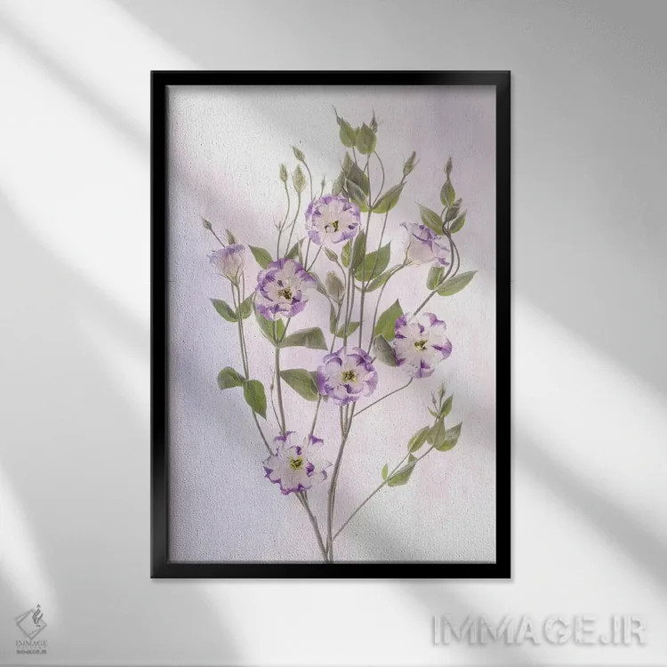 تابلو دکوراتیو Maryland, Bethesda, Purple and White, Digitally Altered,آمری… اثر هولیس لونی - نمای قابدار مشکی