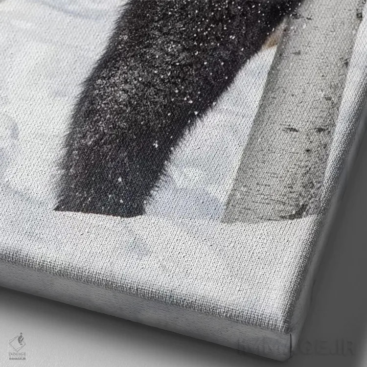 تابلو دکوراتیو Minnesota, Sandstone, Black Bear Scratching an Itch,آمریکا… اثر هولیس لونی - نمای نزدیک بافت بوم