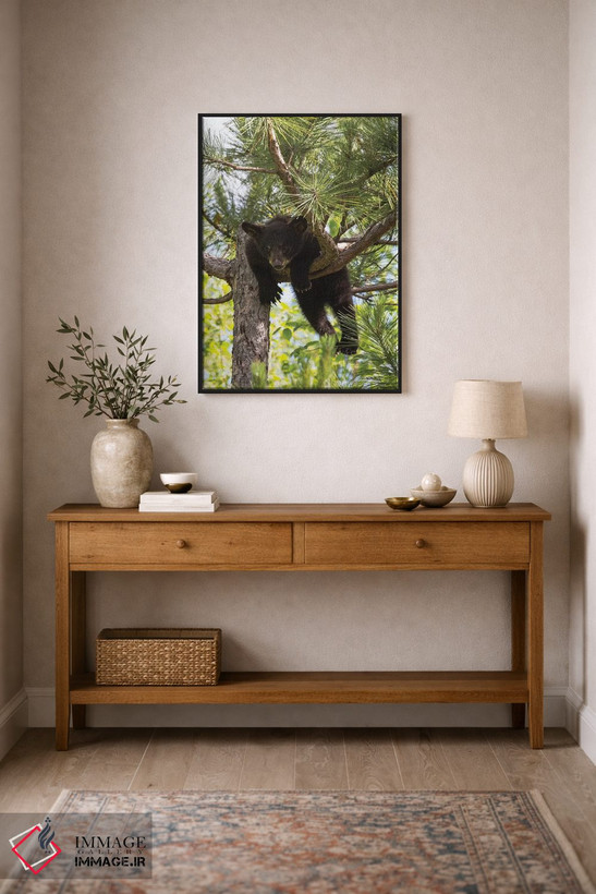 تابلو دکوراتیو Minnesota, Sandstone, Black Bear Cub Stuck in a Tree,آمریکا… اثر هولیس لونی - D2B