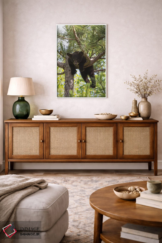 تابلو دکوراتیو Minnesota, Sandstone, Black Bear Cub Stuck in a Tree,آمریکا… اثر هولیس لونی - D3W