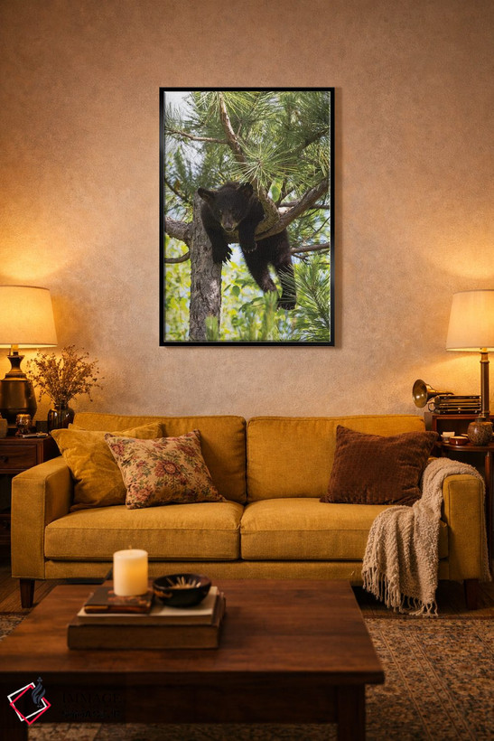 تابلو دکوراتیو Minnesota, Sandstone, Black Bear Cub Stuck in a Tree,آمریکا… اثر هولیس لونی - D4B