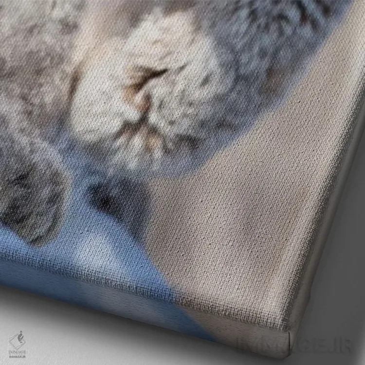 تابلو دکوراتیو Minnesota, Sandstone. Lynx walking,آمریکا، مینه سوتا، سندستو… اثر هولیس لونی - نمای نزدیک بافت بوم