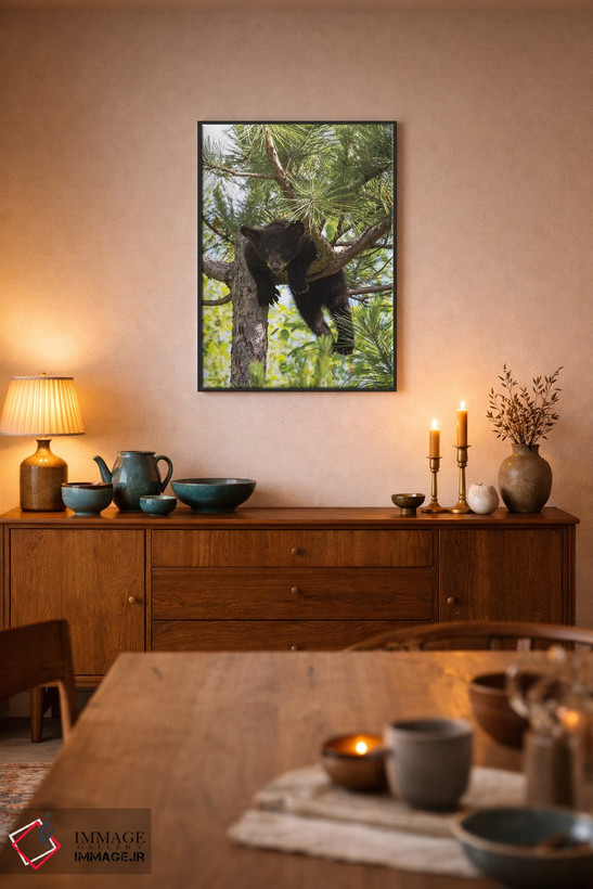 تابلو دکوراتیو Minnesota, Sandstone, Black Bear Cub Stuck in a Tree,آمریکا… اثر هولیس لونی - D6B