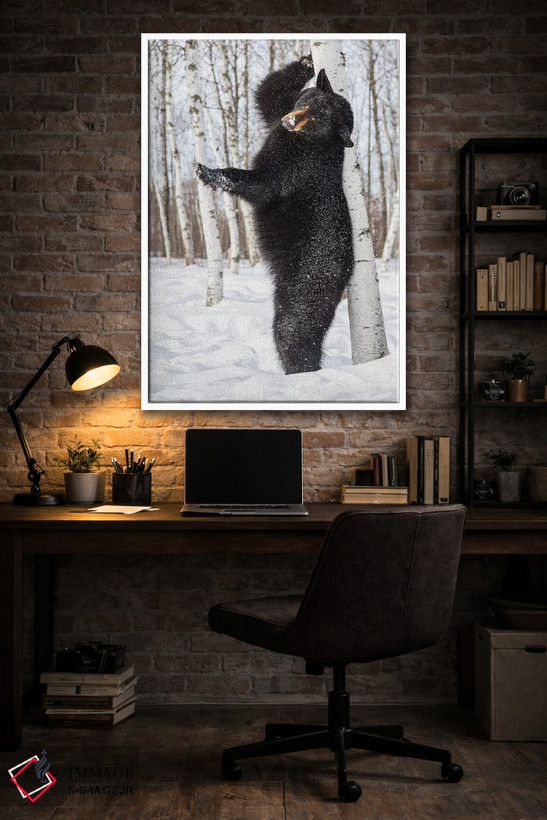 تابلو دکوراتیو Minnesota, Sandstone, Black Bear Scratching an Itch,آمریکا… اثر هولیس لونی - D3W