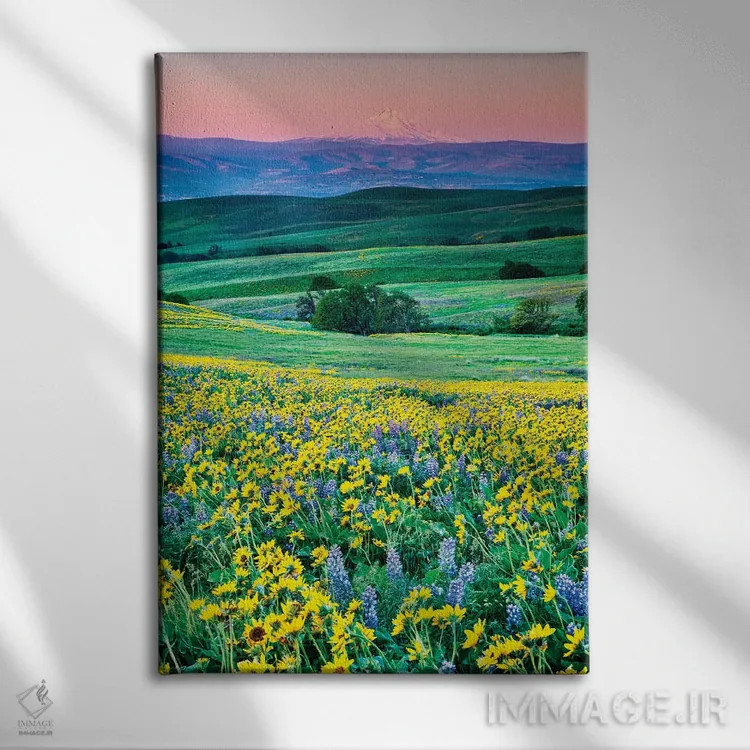 تابلو دکوراتیو Oregon, Columbia River Gorge landscape of field and Mt. Hood… اثر هولیس لونی - نمای روبهرو روی دیوار
