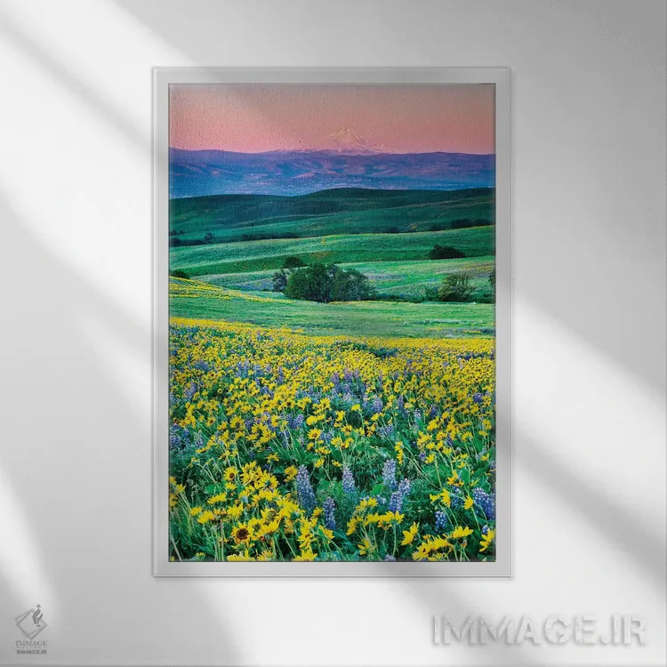 تابلو دکوراتیو Oregon, Columbia River Gorge landscape of field and Mt. Hood… اثر هولیس لونی - نمای قابدار سفید