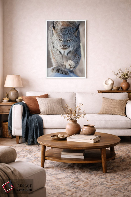 تابلو دکوراتیو Minnesota, Sandstone. Lynx walking,آمریکا، مینه سوتا، سندستو… اثر هولیس لونی - D2W