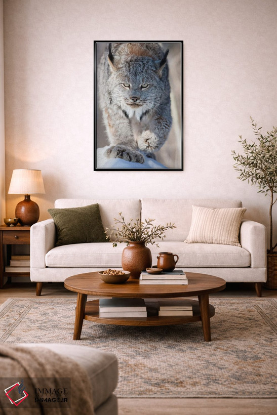 تابلو دکوراتیو Minnesota, Sandstone. Lynx walking,آمریکا، مینه سوتا، سندستو… اثر هولیس لونی - D5B
