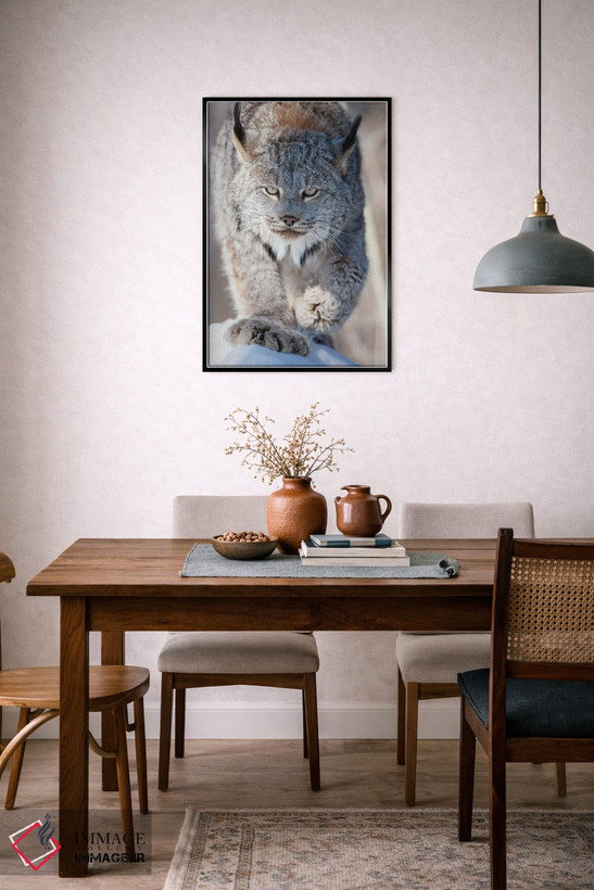 تابلو دکوراتیو Minnesota, Sandstone. Lynx walking,آمریکا، مینه سوتا، سندستو… اثر هولیس لونی - D6B