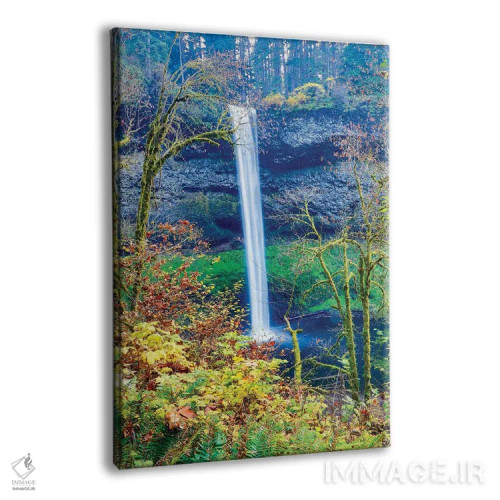 تابلو دکوراتیو Oregon, Silver Falls State Park, South Falls,آمریکا، اورگن… اثر هولیس لونی - نمای پرسپکتیو محصول