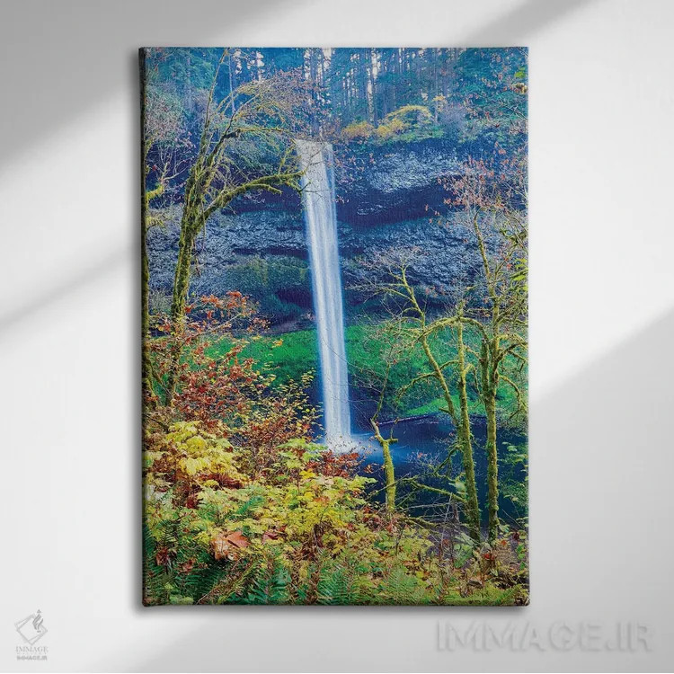 تابلو دکوراتیو Oregon, Silver Falls State Park, South Falls,آمریکا، اورگن… اثر هولیس لونی - نمای روبهرو روی دیوار
