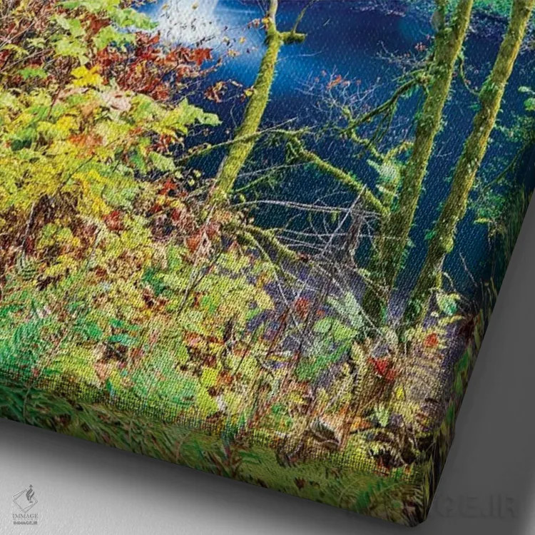 تابلو دکوراتیو Oregon, Silver Falls State Park, South Falls,آمریکا، اورگن… اثر هولیس لونی - نمای نزدیک بافت بوم