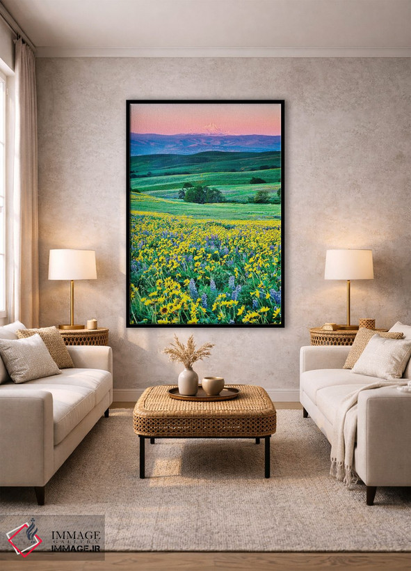تابلو دکوراتیو Oregon, Columbia River Gorge landscape of field and Mt. Hood… اثر هولیس لونی - D1B