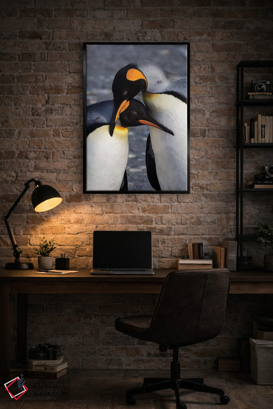 تابلو دکوراتیو South Georgia Island. St. Andrew's Bay, pair of King Penguin… اثر هولیس لونی - D4B