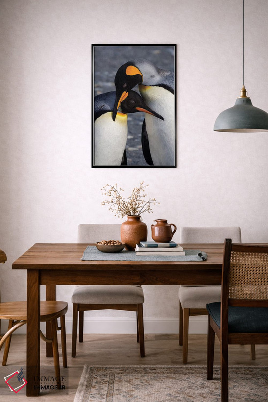 تابلو دکوراتیو South Georgia Island. St. Andrew's Bay, pair of King Penguin… اثر هولیس لونی - D6B