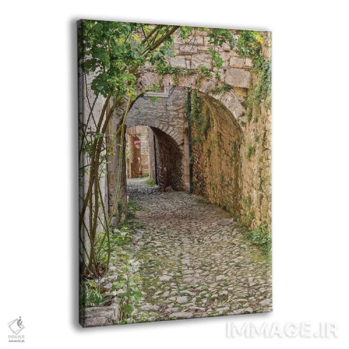 تابلو دکوراتیو Saint-Cirq Lapopie. Tunneled walkway,فرانسه، سنت سیرک لاپوپی… اثر هولیس لونی - نمای پرسپکتیو محصول