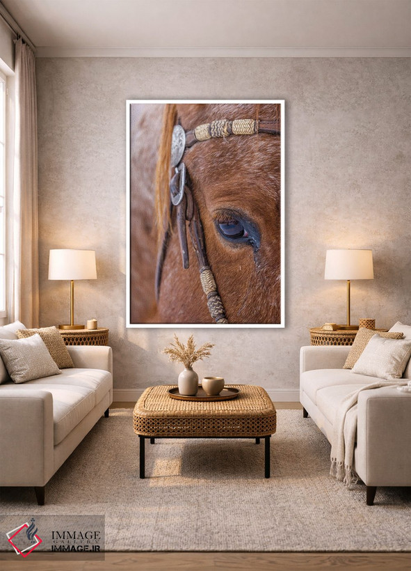 تابلو دکوراتیو Wyoming Hideout Horse Ranch, Horse Detail,آمریکا، وایومینگ… اثر هولیس لونی - D1W