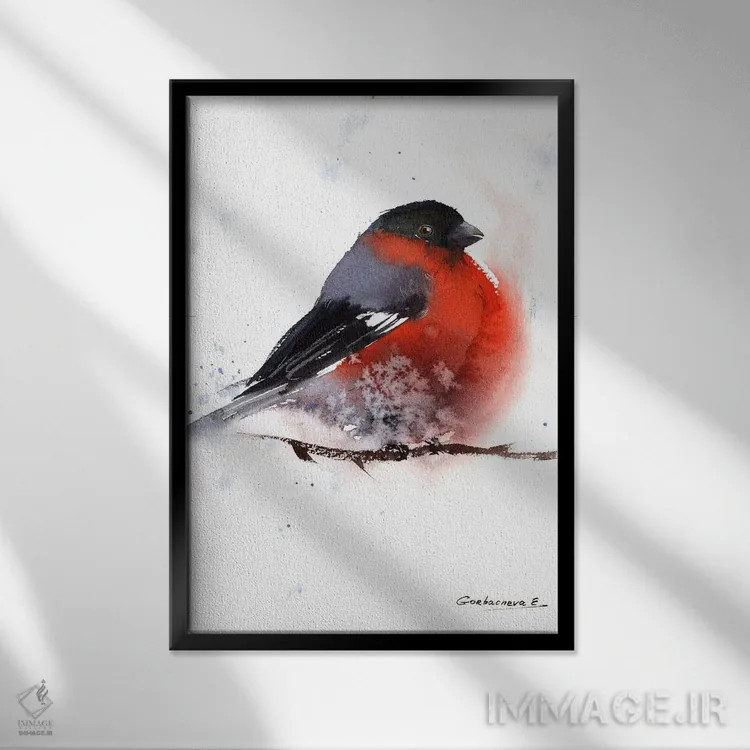 تابلو دکوراتیو پرنده سهره سرخی اثر هوم لایک آرت - نمای قابدار مشکی