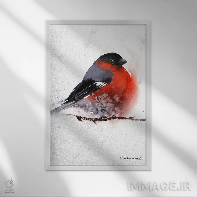 تابلو دکوراتیو پرنده سهره سرخی اثر هوم لایک آرت - نمای قابدار سفید