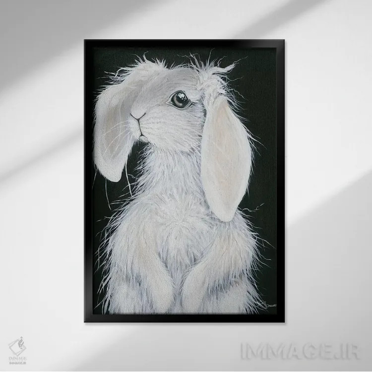 تابلو دکوراتیو خرگوش اثر هولی هکس آرت - نمای قابدار مشکی