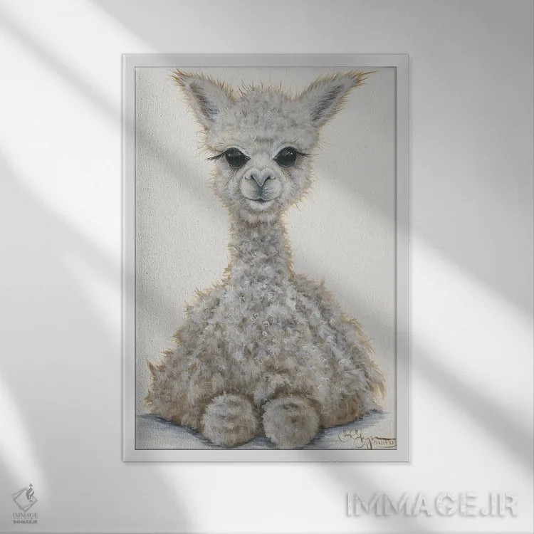 تابلو دکوراتیو آلپاکای کوچک اثر هولی هکس آرت - نمای قابدار سفید