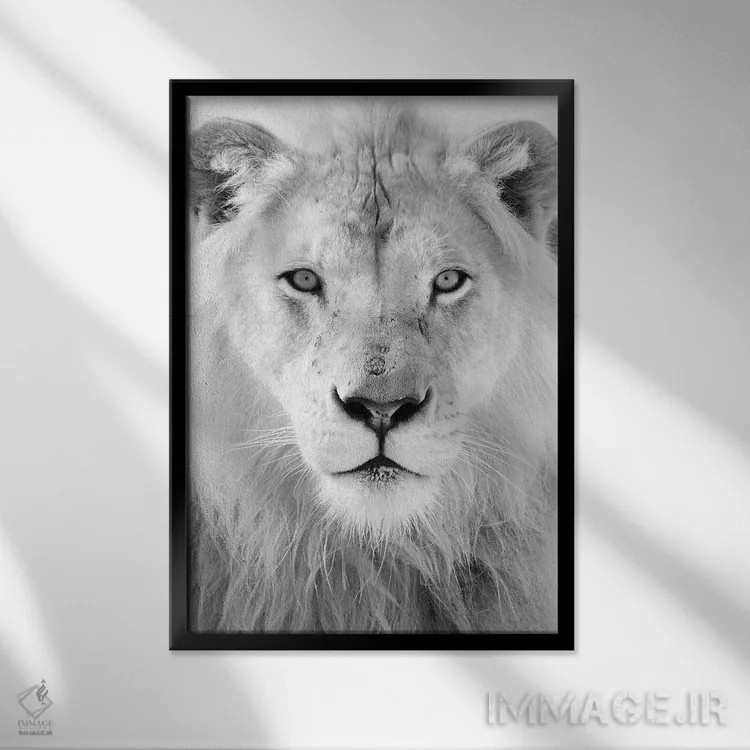 تابلو دکوراتیو پادشاه اثر هانی مون هتل - نمای قابدار مشکی