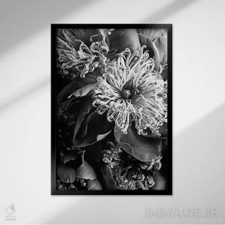 تابلو دکوراتیو گل های صدتومانی احساسی اثر هانی مون هتل - نمای قابدار مشکی