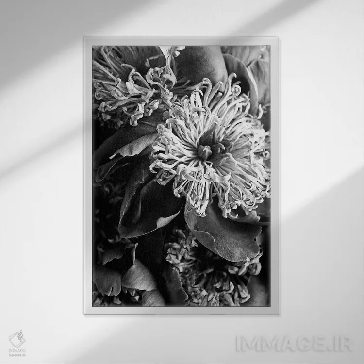 تابلو دکوراتیو گل های صدتومانی احساسی اثر هانی مون هتل - نمای قابدار سفید