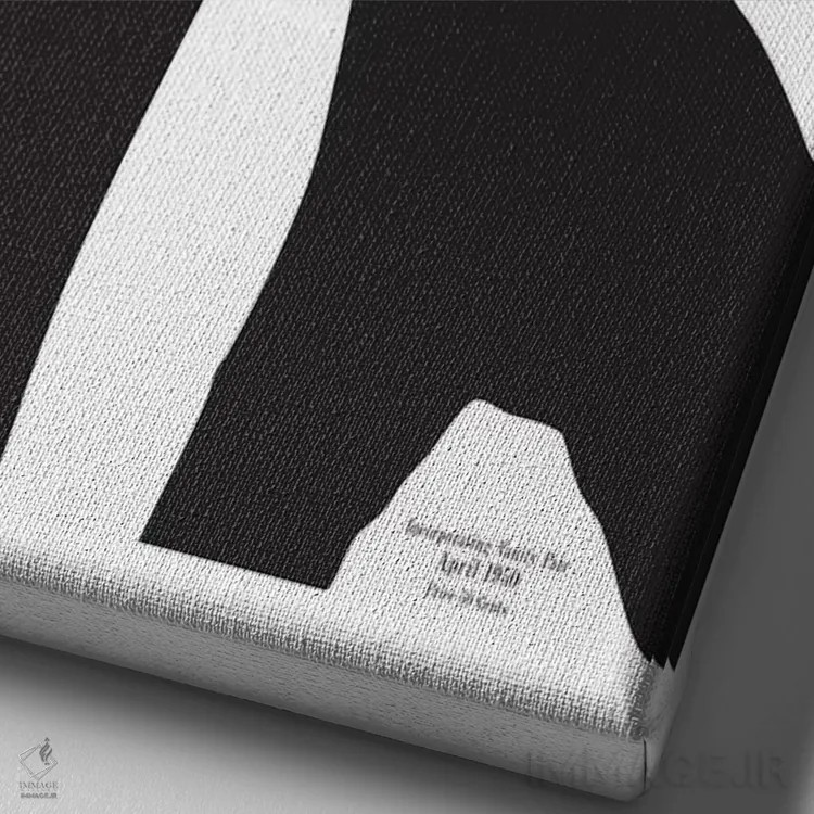 تابلو دکوراتیو Black And White Fashion Print,جلد قدیمی ووگ، چاپ مد سیاه و… اثر هانی مون هتل - نمای نزدیک بافت بوم