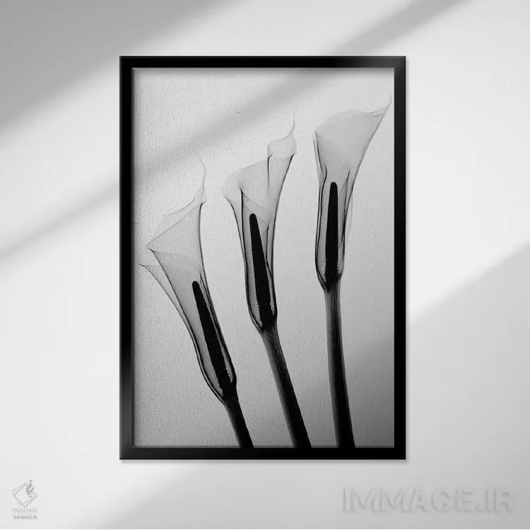 تابلو دکوراتیو کالاس یک اثر هونگ فام - نمای قابدار مشکی