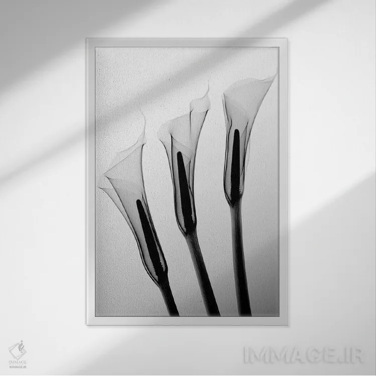 تابلو دکوراتیو کالاس یک اثر هونگ فام - نمای قابدار سفید