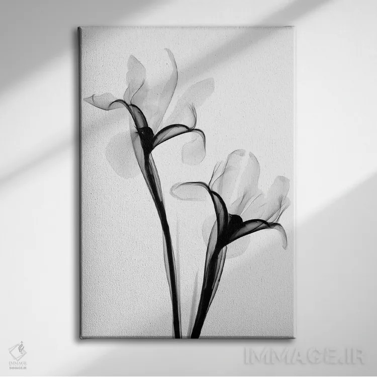 تابلو دکوراتیو دو زنبق یک اثر هونگ فام - نمای روبهرو روی دیوار