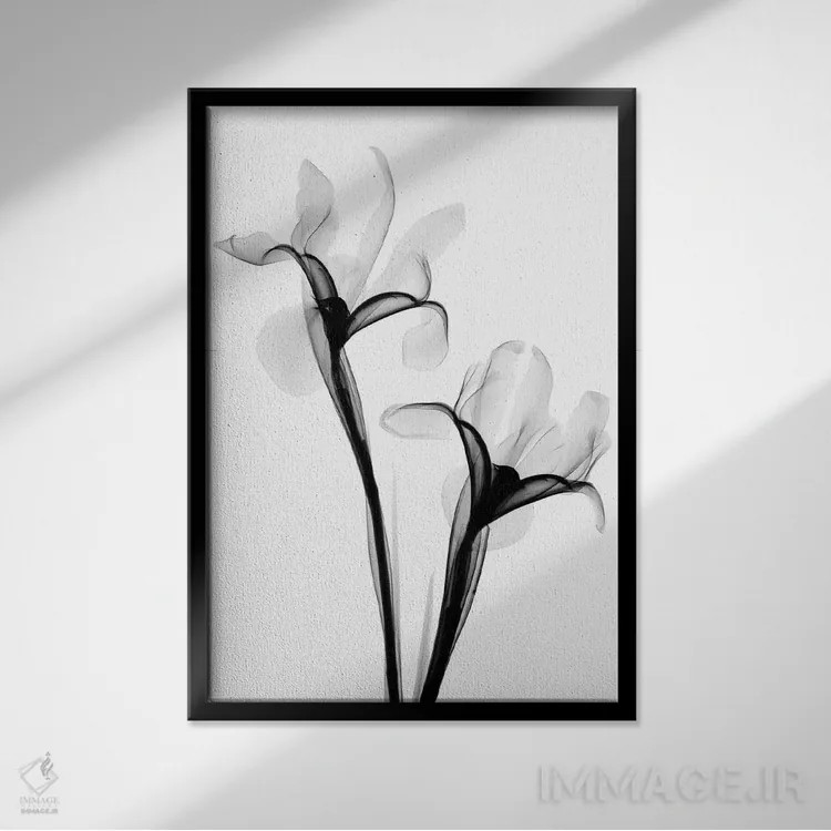 تابلو دکوراتیو دو زنبق یک اثر هونگ فام - نمای قابدار مشکی