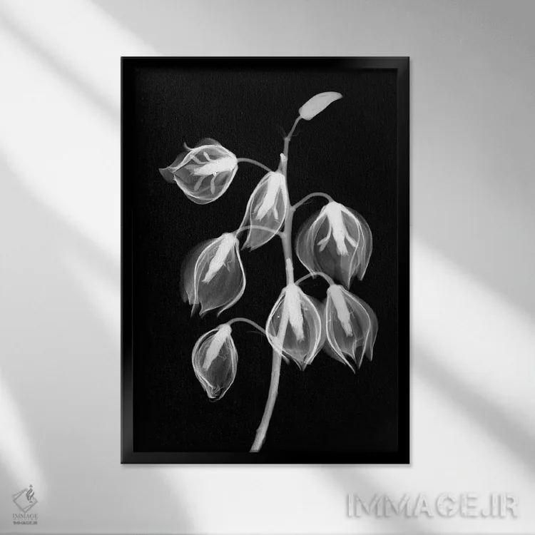 تابلو دکوراتیو یوکا معکوس اثر هونگ فام - نمای قابدار مشکی