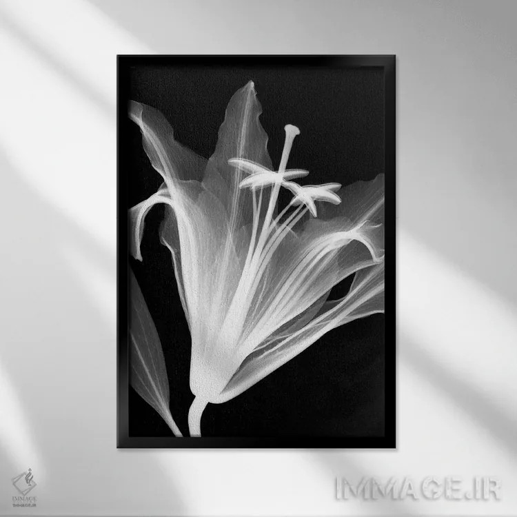 تابلو دکوراتیو سوسن اثر هونگ فام - نمای قابدار مشکی