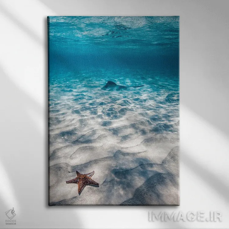 تابلو مینیمال ستاره دریایی و سفره ماهی اثر هانا پریویت - نمای روبهرو روی دیوار