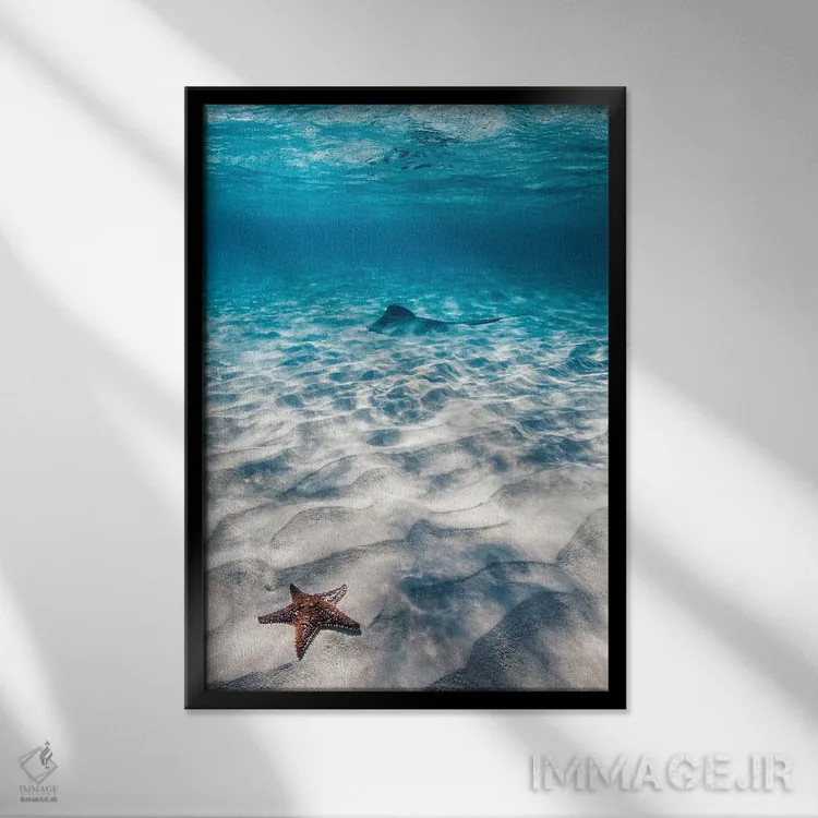 تابلو مینیمال ستاره دریایی و سفره ماهی اثر هانا پریویت - نمای قابدار مشکی