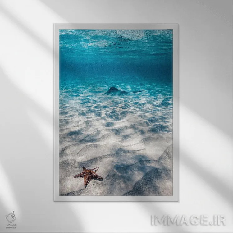تابلو مینیمال ستاره دریایی و سفره ماهی اثر هانا پریویت - نمای قابدار سفید