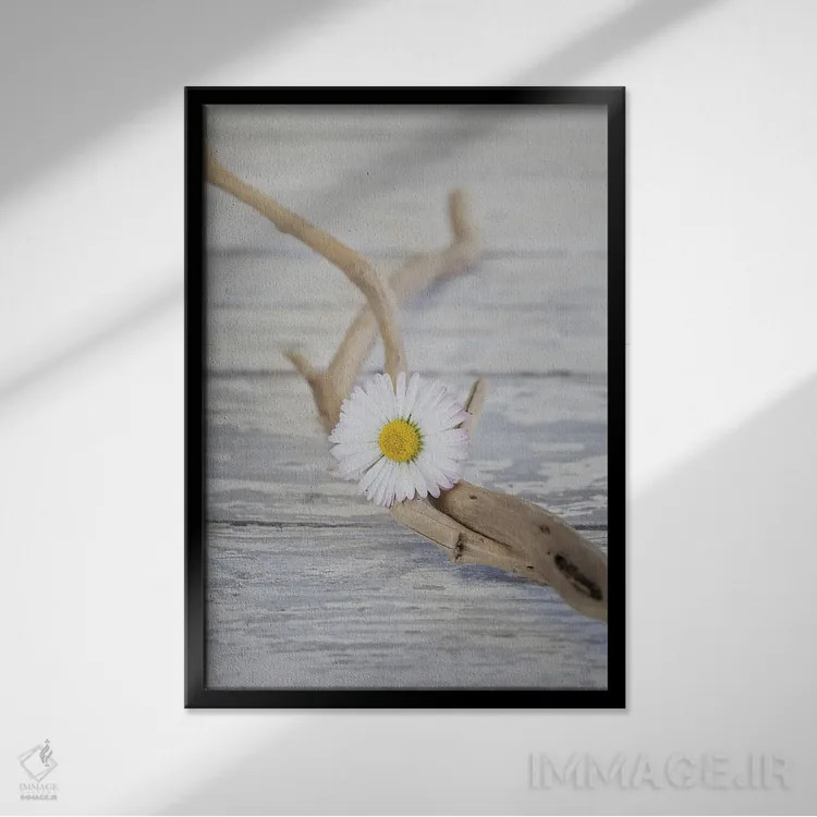 تابلو دکوراتیو چوب شناور و گل داوودی به سبک ذن اثر آندریا هازه - نمای قابدار مشکی