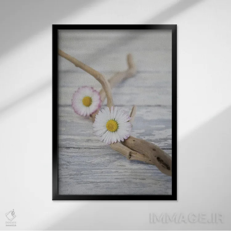 تابلو دکوراتیو چوب شناور و گل داوودی به سبک ذن اثر آندریا هازه - نمای قابدار مشکی
